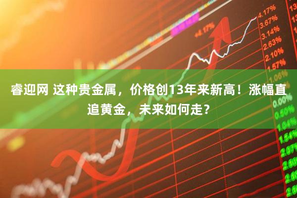 睿迎网 这种贵金属，价格创13年来新高！涨幅直追黄金，未来如何走？