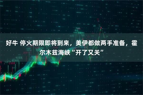 好牛 停火期限即将到来，美伊都做两手准备，霍尔木兹海峡“开了又关”