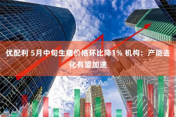 优配利 5月中旬生猪价格环比降1% 机构：产能去化有望加速